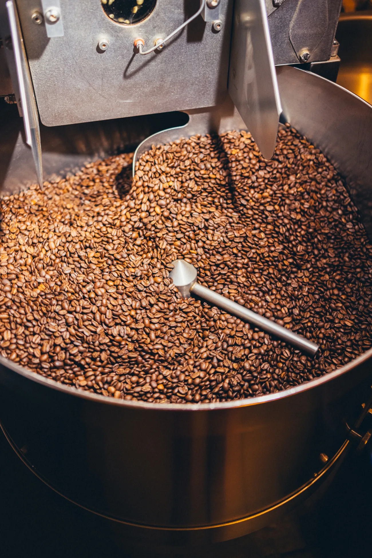 Freshly roasted coffee beans cooling in the Loring roaster at PASSENGER Coffee’s Berlin roastery.