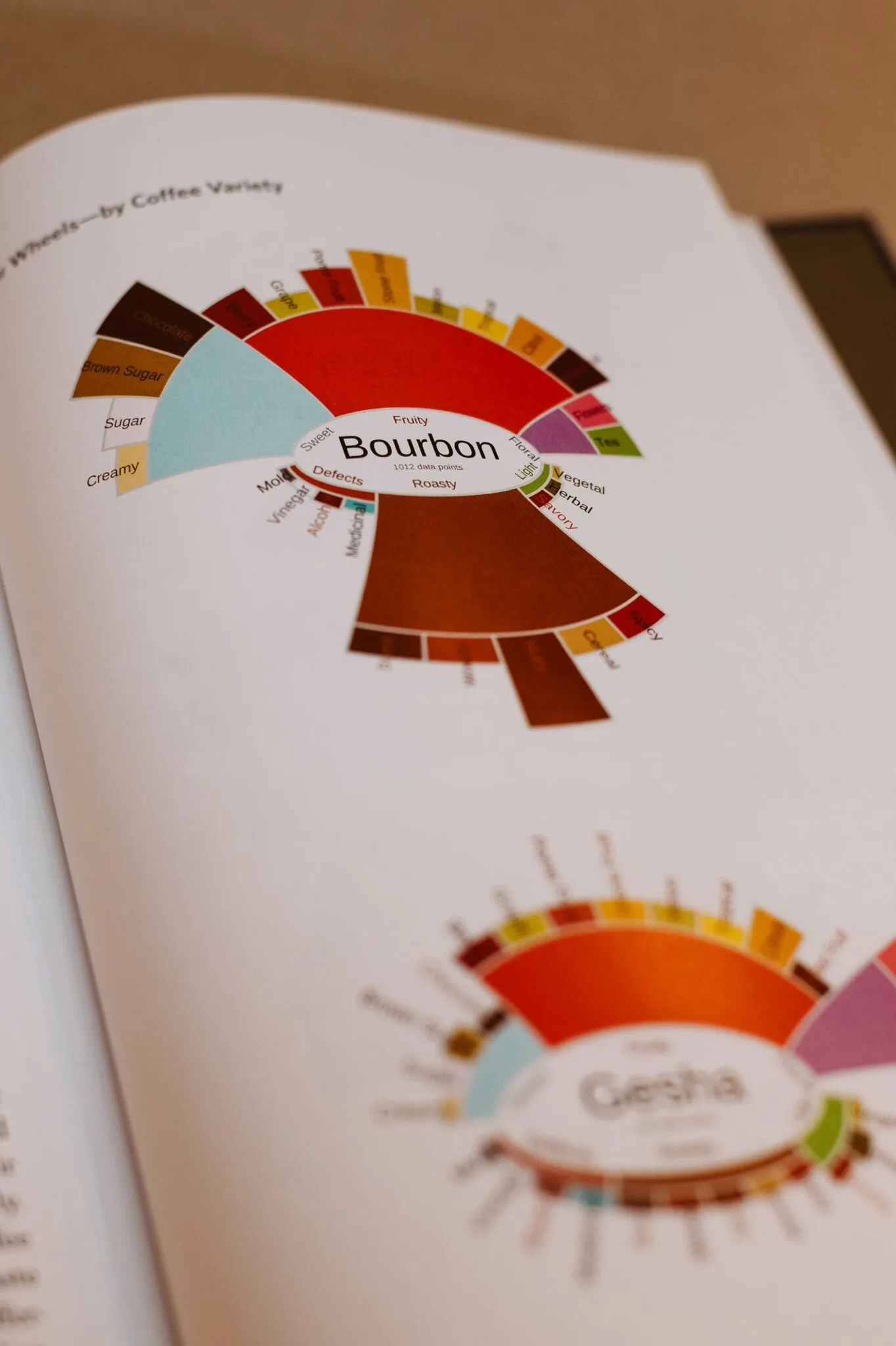Aufgeschlagenes Buch „The Physics of Filter Coffee“ mit Diagrammen zu Kaffeesorten