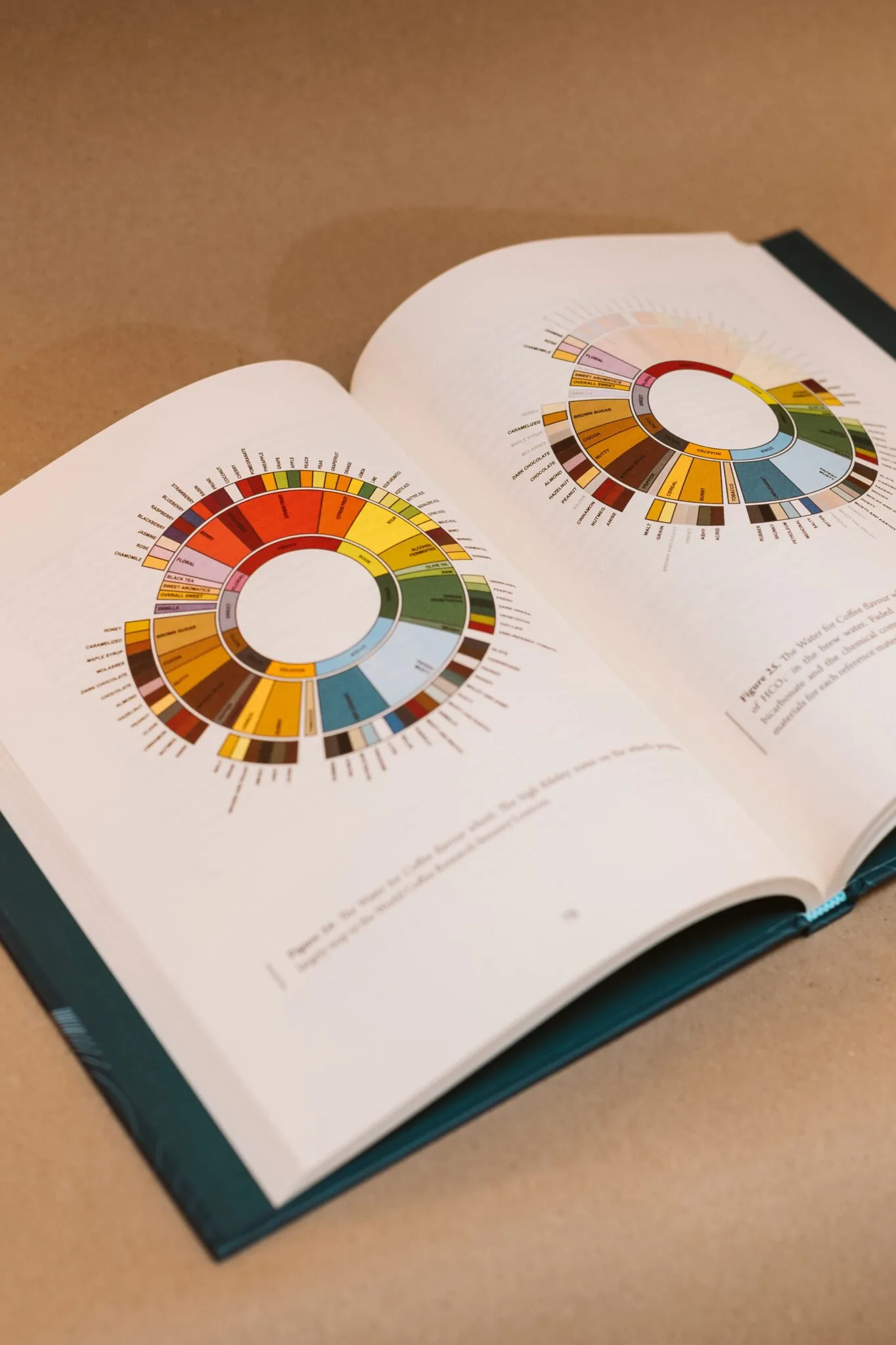 Aufgeschlagenes Buch „Water for Coffee“ mit farbigen Kreisdiagrammen