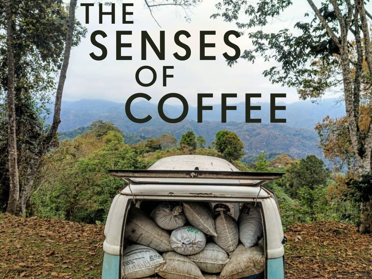 Titelbild „The Senses of Coffee“: VW-Bus voller Kaffeesäcke auf einem Feldweg